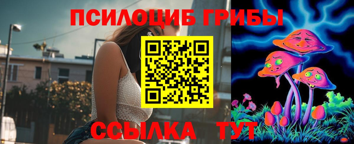 Псилоцибиновые грибы Magic Shrooms  Вход с VPN  наркотики  Барнаул 