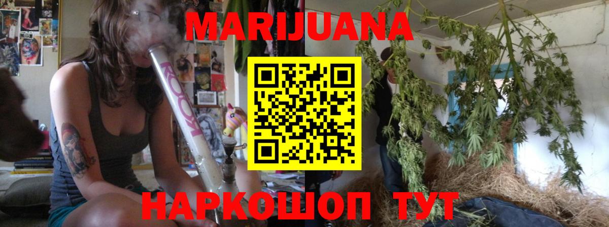 Шишки марихуана план  Марихуана тримм  Вход с VPN  Барнаул 